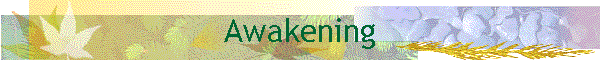 Awakening