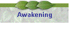 Awakening
