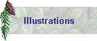 Illustrations