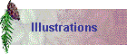 Illustrations
